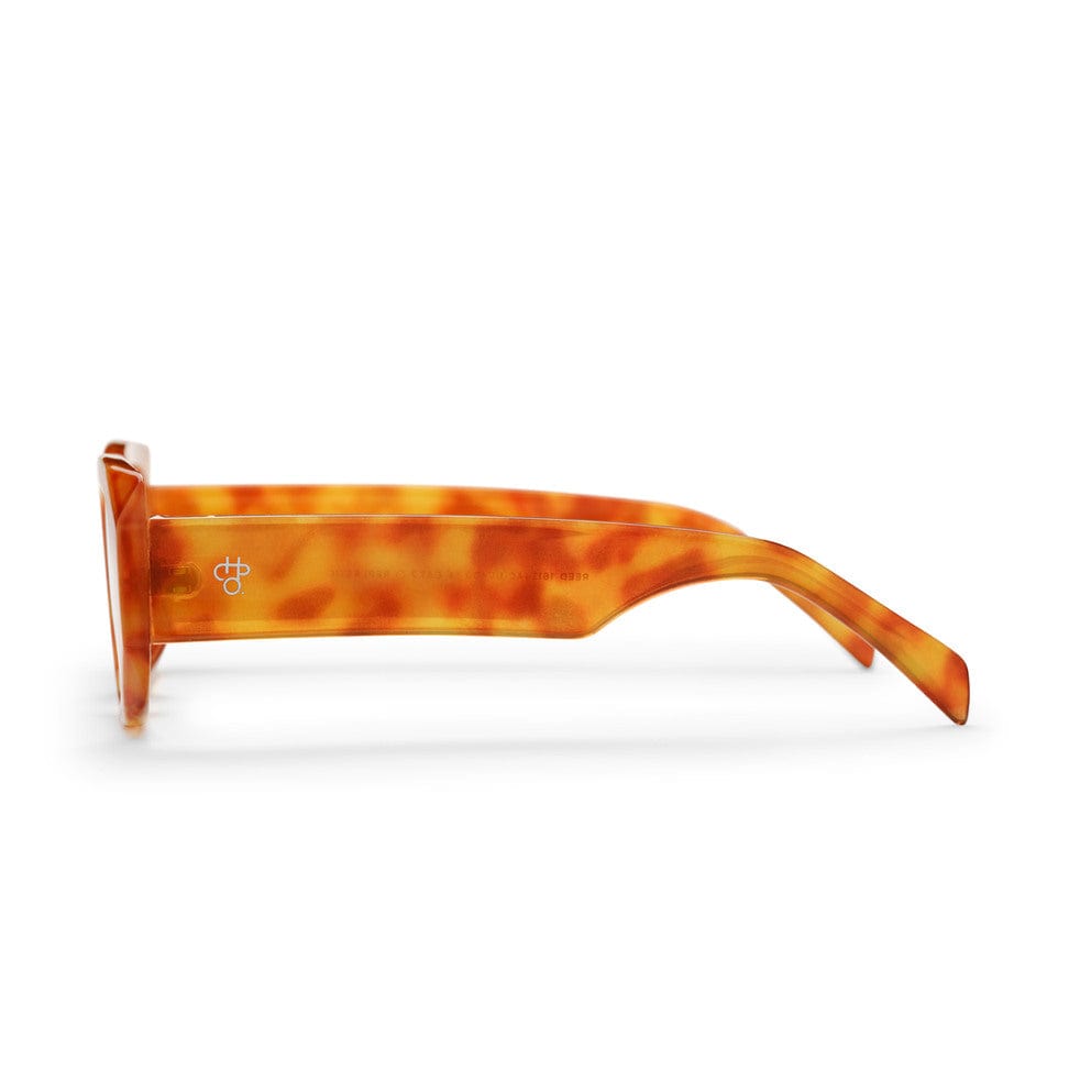 CHPO Sunglasses REED - TURTLR AMBER