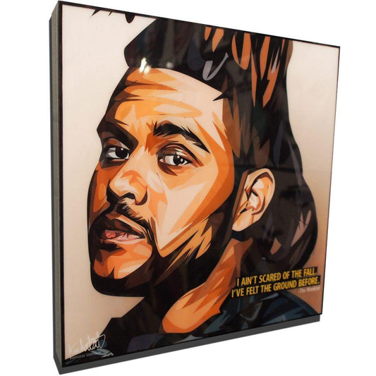 Famous Pop Art Frames SMALL The Weeknd Pop Art Poster "Scared of the fall"